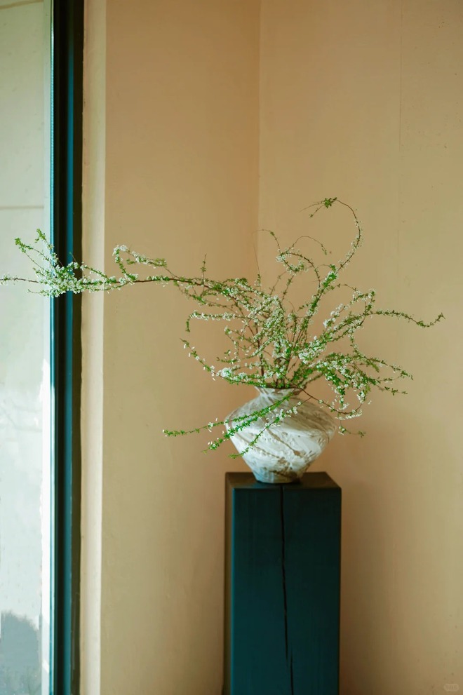 Thú chơi hoa "củi khô nở ra tuyết trắng": Giá bình dân nhưng khí chất sang chảnh, cắm một bình chơi cả tháng Giêng- Ảnh 8. Thú chơi hoa "củi khô nở ra tuyết trắng": Giá bình dân nhưng khí chất sang chảnh, cắm một bình chơi cả tháng Giêng- Ảnh 8.