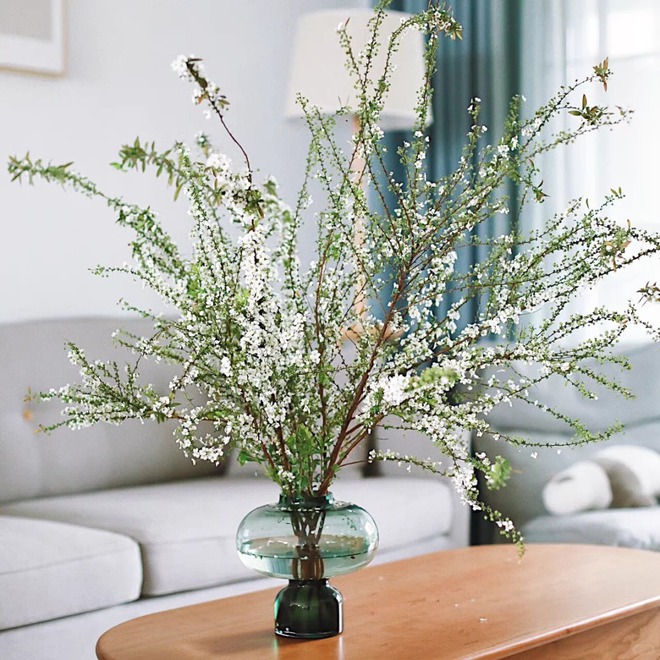 Thú chơi hoa "củi khô nở ra tuyết trắng": Giá bình dân nhưng khí chất sang chảnh, cắm một bình chơi cả tháng Giêng- Ảnh 5. Thú chơi hoa "củi khô nở ra tuyết trắng": Giá bình dân nhưng khí chất sang chảnh, cắm một bình chơi cả tháng Giêng- Ảnh 5.