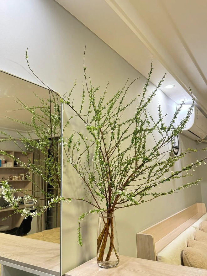 Thú chơi hoa "củi khô nở ra tuyết trắng": Giá bình dân nhưng khí chất sang chảnh, cắm một bình chơi cả tháng Giêng- Ảnh 10. Thú chơi hoa "củi khô nở ra tuyết trắng": Giá bình dân nhưng khí chất sang chảnh, cắm một bình chơi cả tháng Giêng- Ảnh 10.