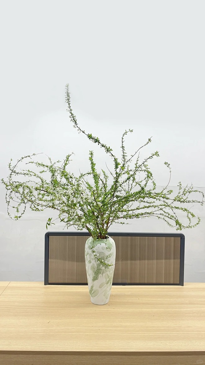 Thú chơi hoa "củi khô nở ra tuyết trắng": Giá bình dân nhưng khí chất sang chảnh, cắm một bình chơi cả tháng Giêng- Ảnh 11. Thú chơi hoa "củi khô nở ra tuyết trắng": Giá bình dân nhưng khí chất sang chảnh, cắm một bình chơi cả tháng Giêng- Ảnh 11.