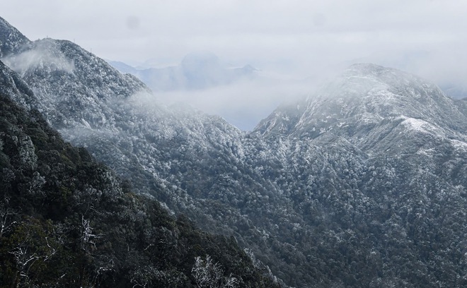 Cảnh tượng tuyết phủ trắng nóc nhà, lối đi ở Fansipan đầu năm nay: Dân tình càng hừng hực khí thế đi "săn"- Ảnh 13. Cảnh tượng tuyết phủ trắng nóc nhà, lối đi ở Fansipan đầu năm nay: Dân tình càng hừng hực khí thế đi "săn"- Ảnh 13.