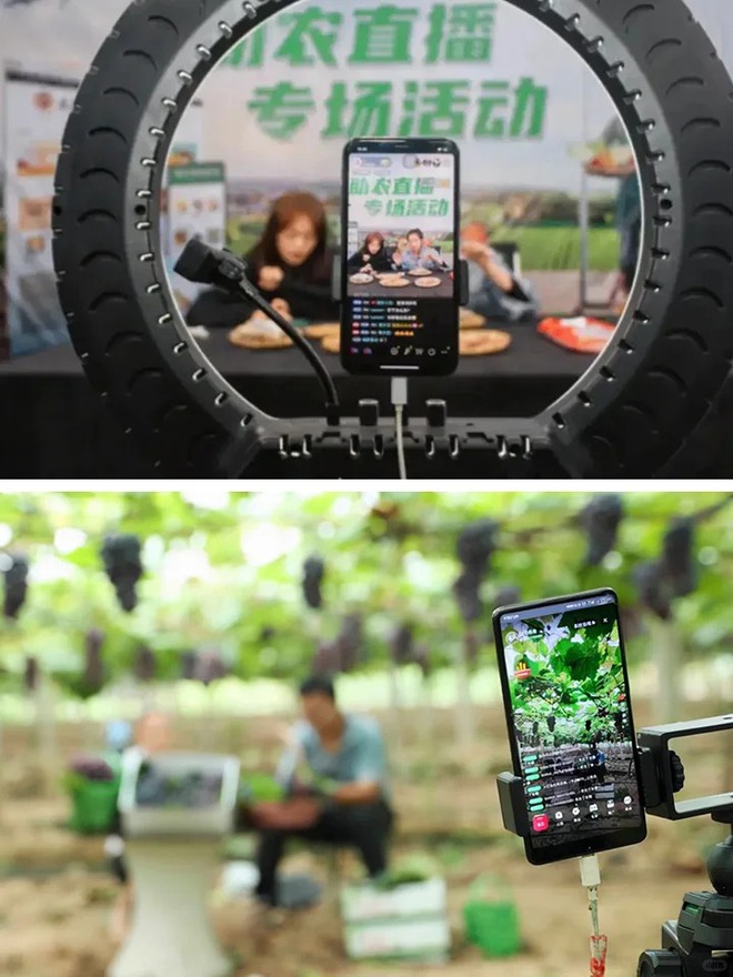 Chuyện những người nông dân 4.0: Khi "cây nhà lá vườn" lên phố theo cách chẳng ai ngờ, vừa ấm lòng lại vừa an tâm- Ảnh 4.