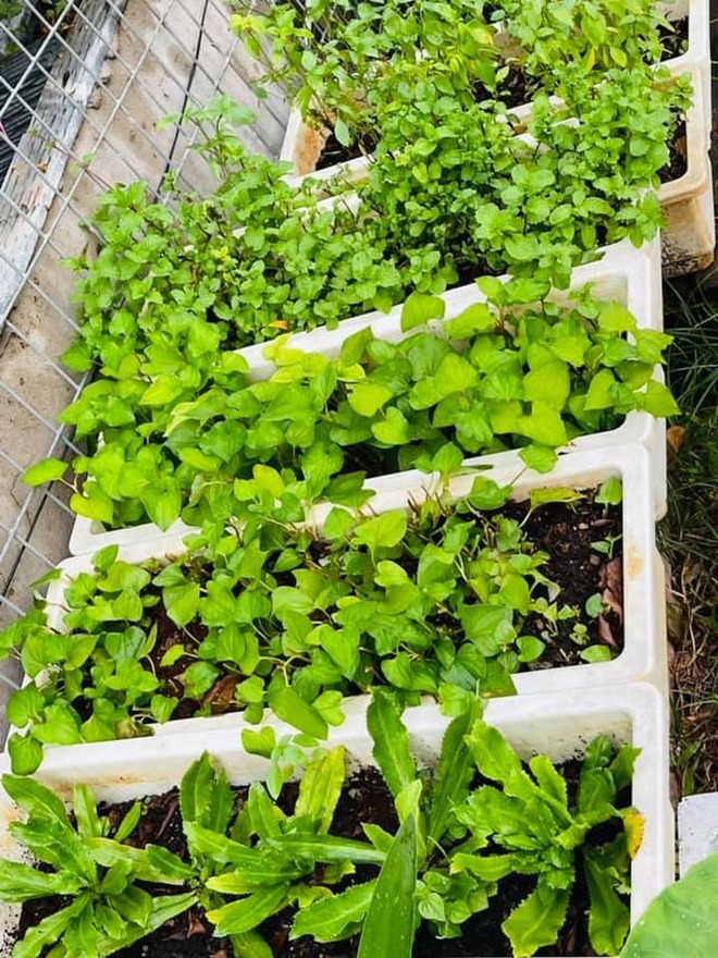 Nữ ca sĩ Việt 40 tuổi tự sinh con, không lấy chồng, ở biệt thự 20 tỷ- Ảnh 20. Nữ ca sĩ Việt 40 tuổi tự sinh con, không lấy chồng, ở biệt thự 20 tỷ- Ảnh 20.