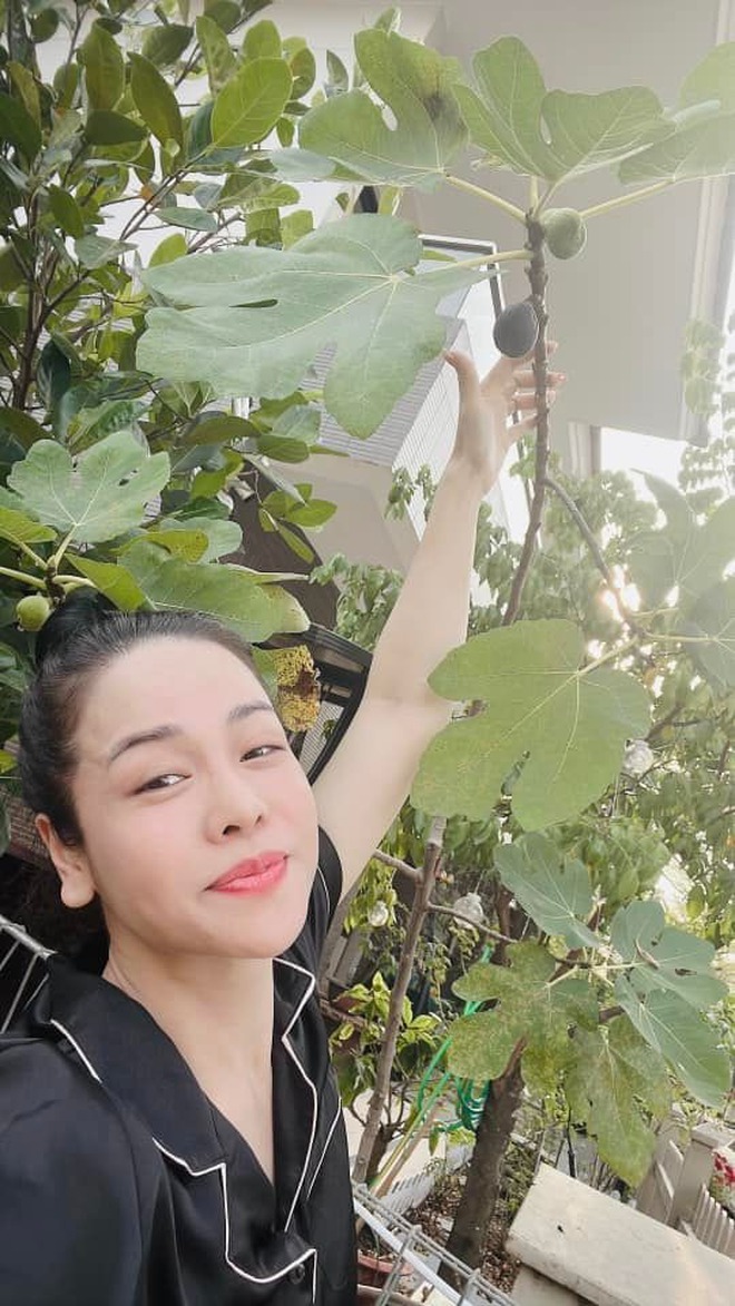 Nữ ca sĩ Việt 40 tuổi tự sinh con, không lấy chồng, ở biệt thự 20 tỷ- Ảnh 21. Nữ ca sĩ Việt 40 tuổi tự sinh con, không lấy chồng, ở biệt thự 20 tỷ- Ảnh 21.