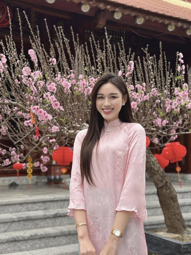 Hoa hậu Đỗ Hà vướng chỉ trích- Ảnh 4.