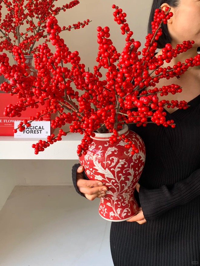 Bí kíp cắm đào đông đỏ chơi bền xuyên Tết 2026: Loài "trân châu đỏ" giúp gia chủ vượng khí, đỏ vận cả năm- Ảnh 21.