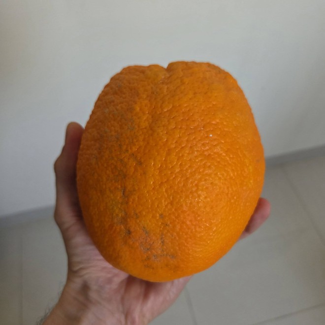 Khách Tây nằng nặc mua hết xe chở cam có biển 37, đòi bán lại giá gấp đôi vì lý do không ai ngờ tới- Ảnh 3.