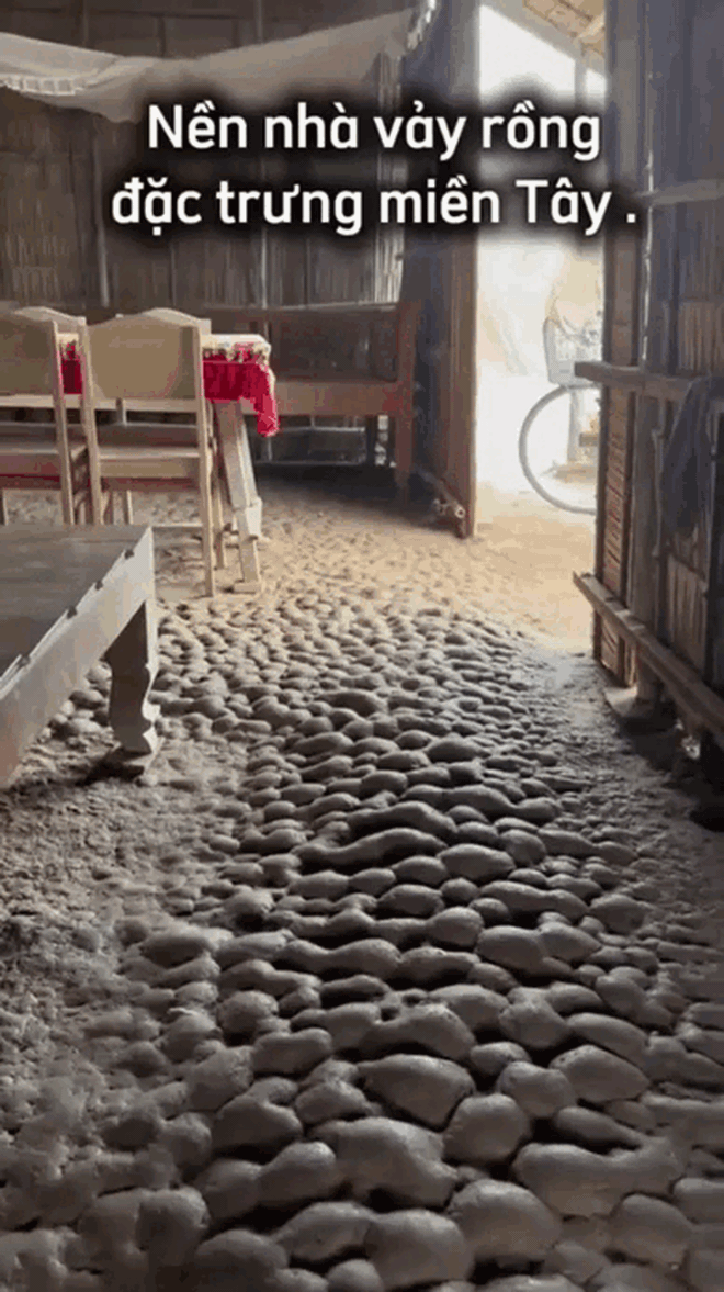 "Đặc sản" nhà người miền Tây, ai yếu tim là dễ... rợn tóc gáy- Ảnh 1.