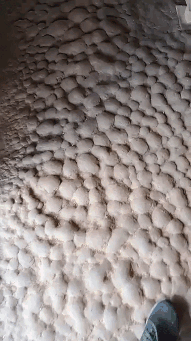 "Đặc sản" nhà người miền Tây, ai yếu tim là dễ... rợn tóc gáy- Ảnh 2.