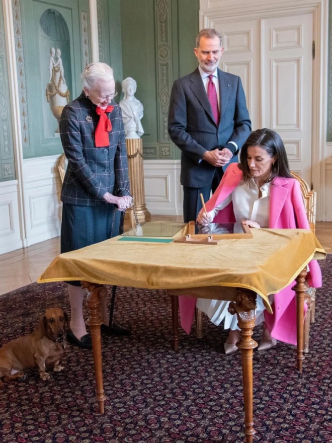 Chẳng mấy ai dám liều như Vương hậu Letizia: Mặc màu hồng sặc sỡ át vía sự u ám của mùa đông- Ảnh 6. Chẳng mấy ai dám liều như Vương hậu Letizia: Mặc màu hồng sặc sỡ át vía sự u ám của mùa đông- Ảnh 6.