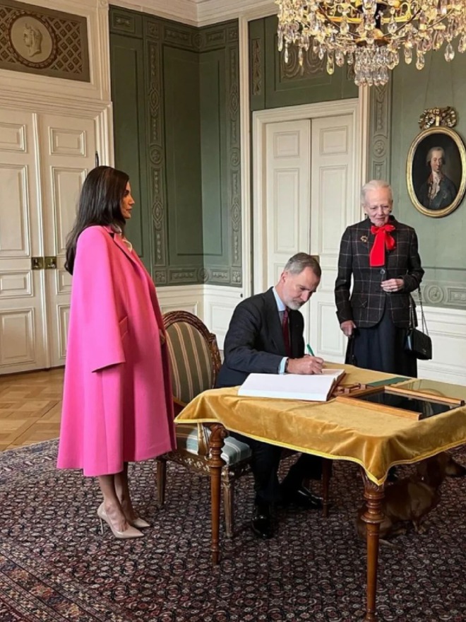 Chẳng mấy ai dám liều như Vương hậu Letizia: Mặc màu hồng sặc sỡ át vía sự u ám của mùa đông- Ảnh 7. Chẳng mấy ai dám liều như Vương hậu Letizia: Mặc màu hồng sặc sỡ át vía sự u ám của mùa đông- Ảnh 7.