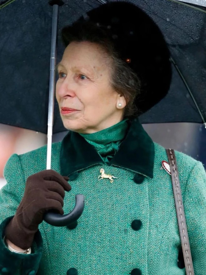 Từ chiếc huy hiệu hình ngựa "bất ly thân" của Vương nữ Anne: Tạo sao phụ nữ sang trọng luôn chọn 1 biểu tượng riêng?- Ảnh 7.