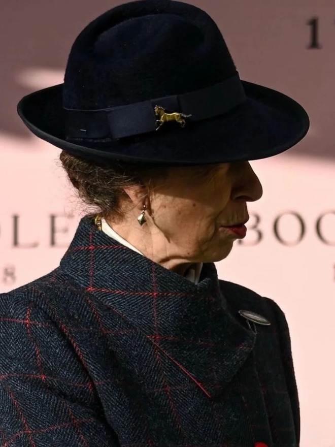 Từ chiếc huy hiệu hình ngựa "bất ly thân" của Vương nữ Anne: Tạo sao phụ nữ sang trọng luôn chọn 1 biểu tượng riêng?- Ảnh 2.