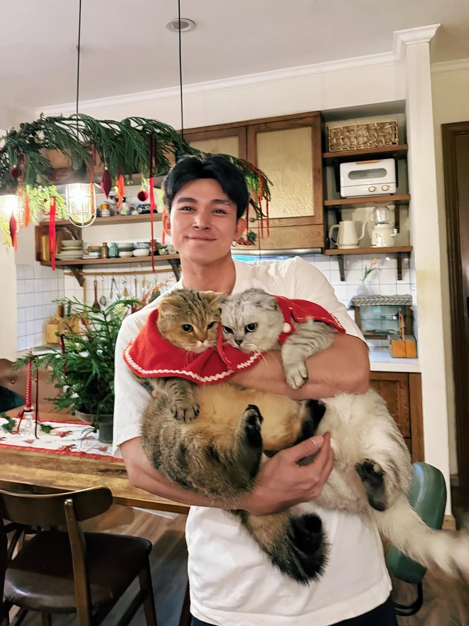 Sao Việt đón Giáng sinh: Decor không gian như cổ tích, riêng nhà Jun Phạm quá chữa lành- Ảnh 5.