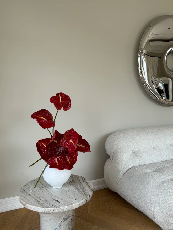 Loài hoa "nồi đồng cối đá" nở thông 365 ngày: Muốn chồng thăng quan tiến chức, tiền vào như nước nhất định phải rước về- Ảnh 26.