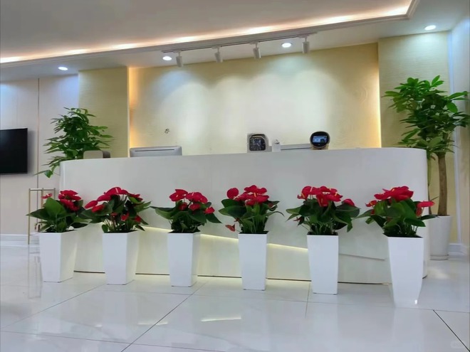 Loài hoa "nồi đồng cối đá" nở thông 365 ngày: Muốn chồng thăng quan tiến chức, tiền vào như nước nhất định phải rước về- Ảnh 29.