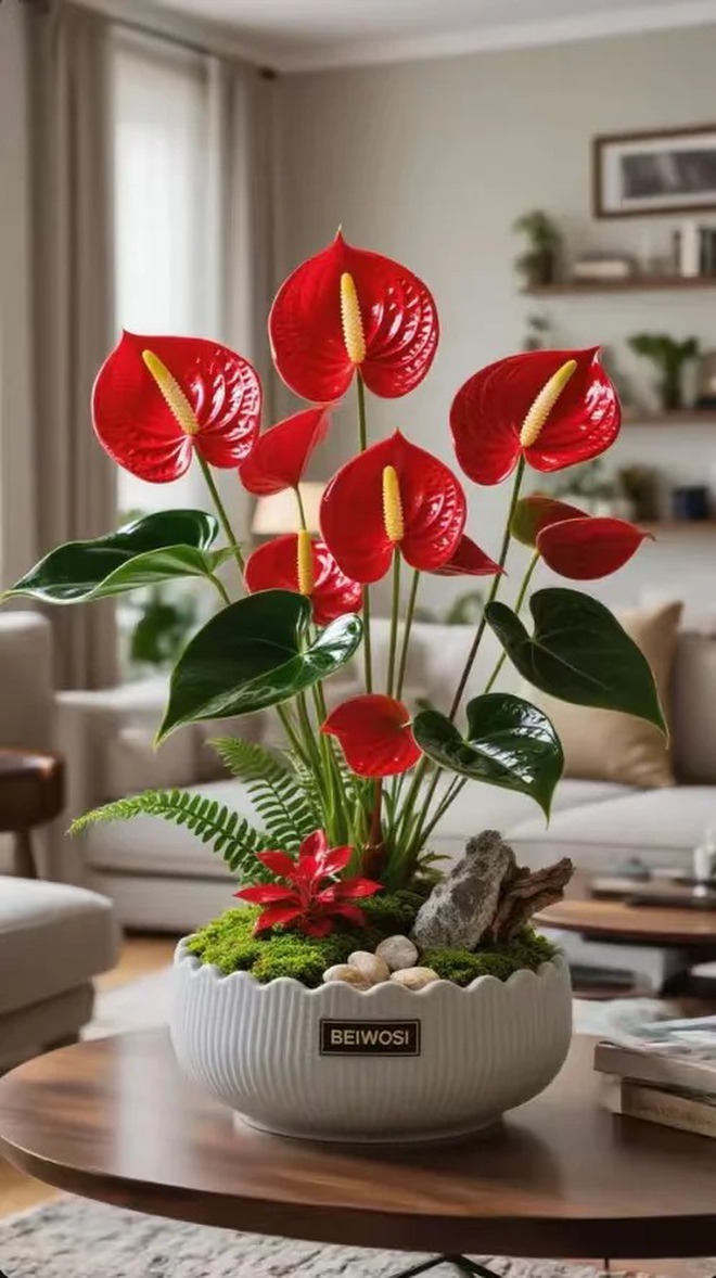 Loài hoa "nồi đồng cối đá" nở thông 365 ngày: Muốn chồng thăng quan tiến chức, tiền vào như nước nhất định phải rước về- Ảnh 12.