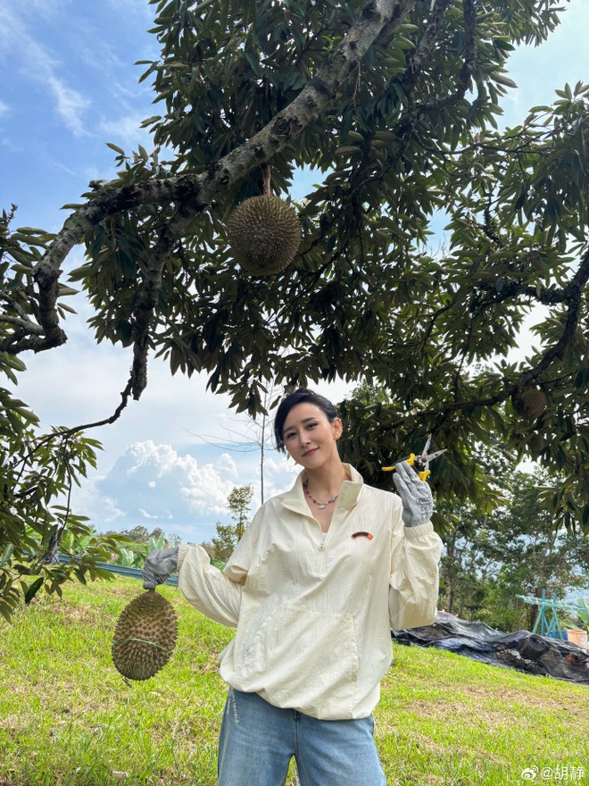 Người đẹp cưới "đại gia mai táng" sướng như tiên: Ở biệt phủ 6.000 m2, sáng hái mít chiều hái sầu riêng- Ảnh 12.