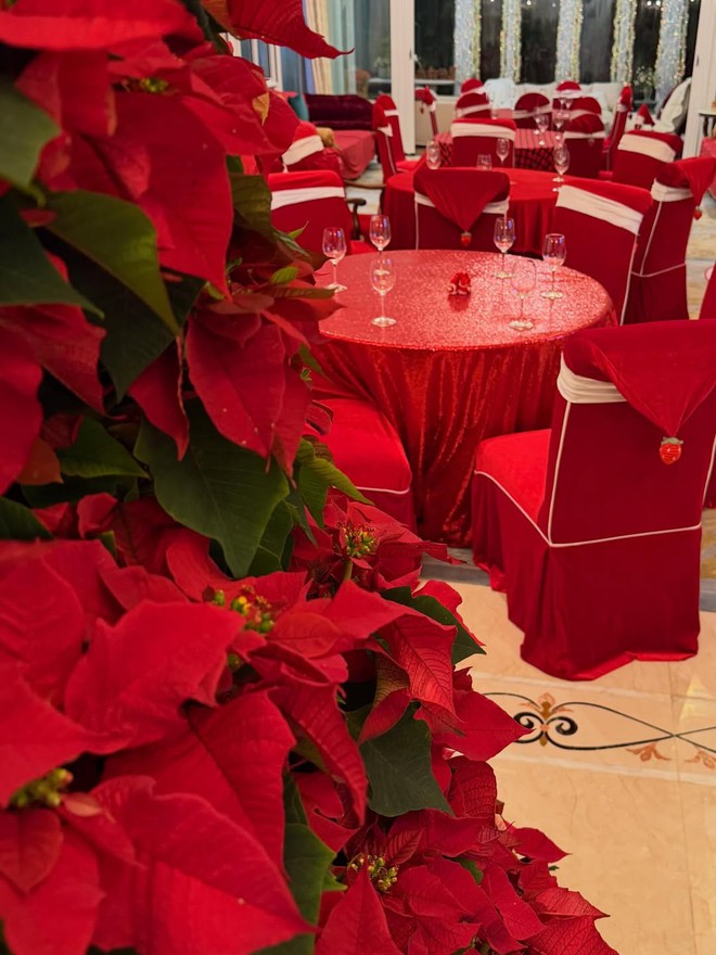 Hội hào môn "bung nóc" mùa Giáng sinh: Midu khoá môi Minh Đạt, xem biệt thự của Phạm Hương - Lan Khuê mà loá mắt- Ảnh 10. Hội hào môn "bung nóc" mùa Giáng sinh: Midu khoá môi Minh Đạt, xem biệt thự của Phạm Hương - Lan Khuê mà loá mắt- Ảnh 10.