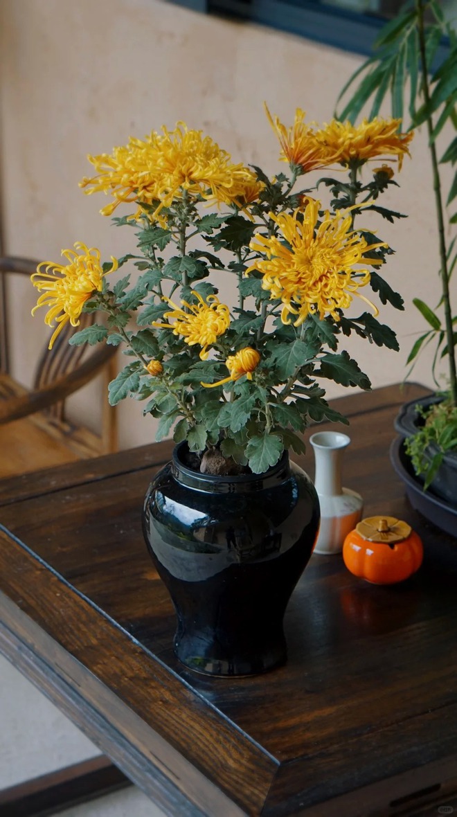 Kh&ocirc;ng chỉ đẹp, đ&acirc;y l&agrave; l&yacute; do người xưa dặn nhất định phải b&agrave;y hoa c&uacute;c ng&agrave;y Tết để gọi 