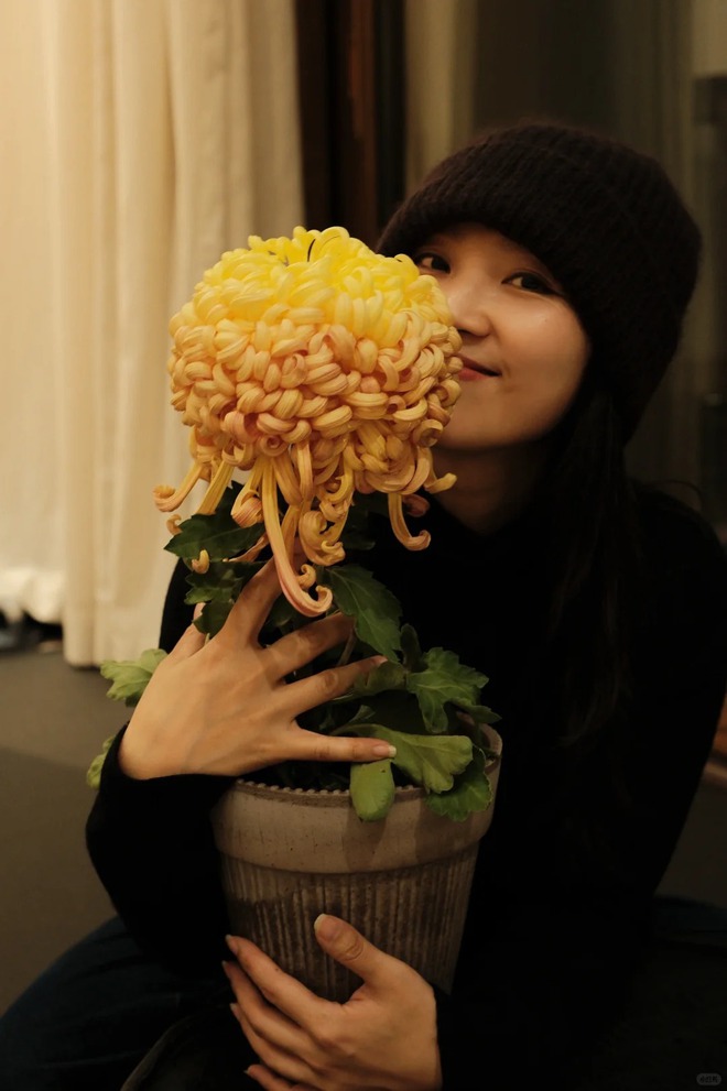 Kh&ocirc;ng chỉ đẹp, đ&acirc;y l&agrave; l&yacute; do người xưa dặn nhất định phải b&agrave;y hoa c&uacute;c ng&agrave;y Tết để gọi 