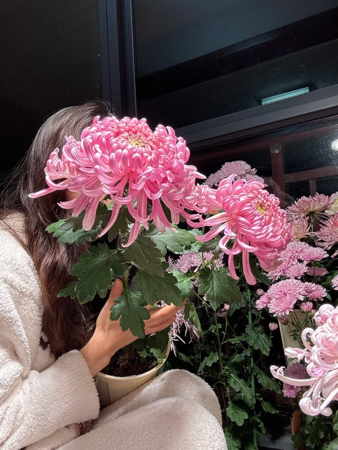 Kh&ocirc;ng chỉ đẹp, đ&acirc;y l&agrave; l&yacute; do người xưa dặn nhất định phải b&agrave;y hoa c&uacute;c ng&agrave;y Tết để gọi 