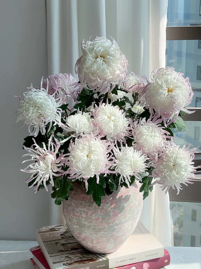 Kh&ocirc;ng chỉ đẹp, đ&acirc;y l&agrave; l&yacute; do người xưa dặn nhất định phải b&agrave;y hoa c&uacute;c ng&agrave;y Tết để gọi 