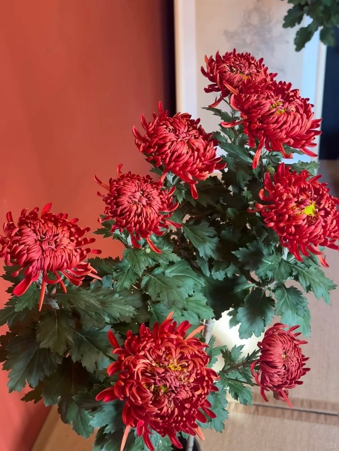 Kh&ocirc;ng chỉ đẹp, đ&acirc;y l&agrave; l&yacute; do người xưa dặn nhất định phải b&agrave;y hoa c&uacute;c ng&agrave;y Tết để gọi 