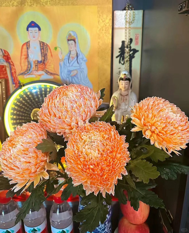 Kh&ocirc;ng chỉ đẹp, đ&acirc;y l&agrave; l&yacute; do người xưa dặn nhất định phải b&agrave;y hoa c&uacute;c ng&agrave;y Tết để gọi 