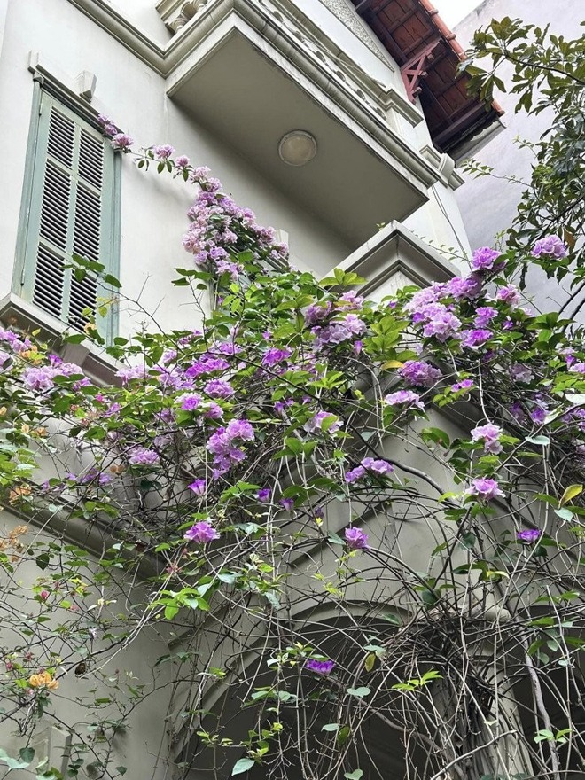 Cơ ngơi đẹp hơn tranh của “phù thuỷ” thiết kế xiêm y Táo Quân- Ảnh 2.