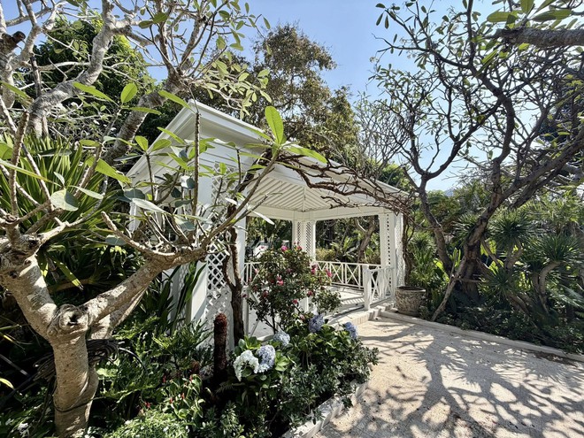 Chuyện gì đang xảy ra với NTK Đỗ Mạnh Cường?- Ảnh 8.