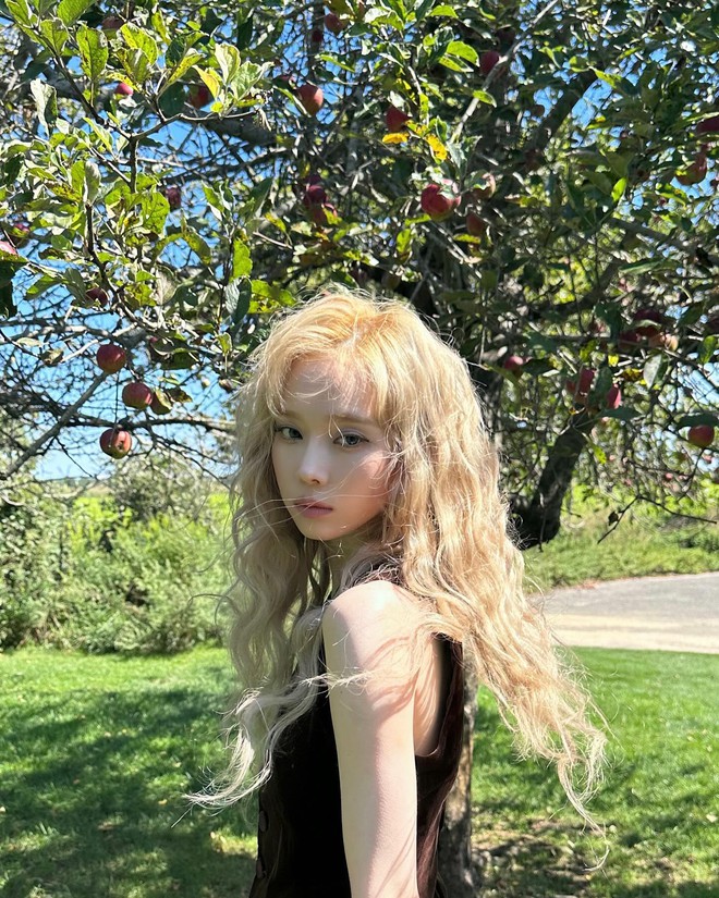 Bạn gái tin đồn của Jungkook được so ngang với Kim Ji Won- Ảnh 13. Bạn gái tin đồn của Jungkook được so ngang với Kim Ji Won- Ảnh 13.