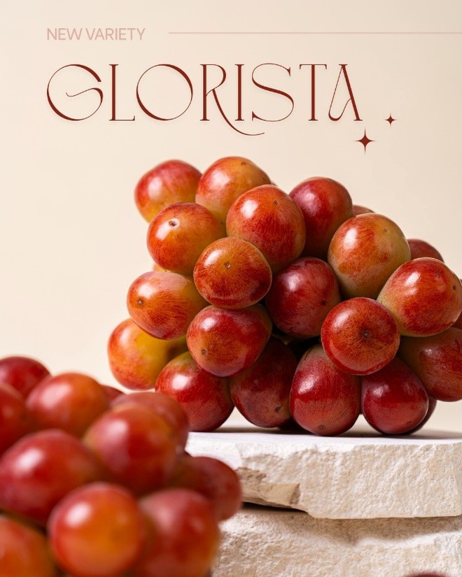 aT Center – Vietnam Airlines hợp tác quảng bá nho Hàn Quốc trên các chuyến bay quốc tế- Ảnh 4.