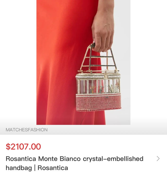 Túi hiệu của 2 nàng dâu nhà tỷ phú Bùi Lan Anh và Phương Nhi gây chú ý- Ảnh 4.