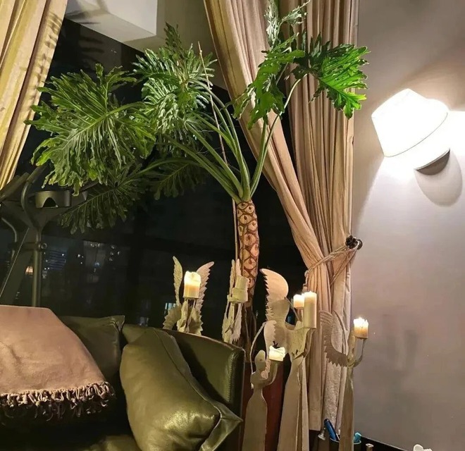 Biệt thự của "mỹ nhân có vòng eo đẹp nhất showbiz", ai đi qua cũng ngoái nhìn- Ảnh 8.