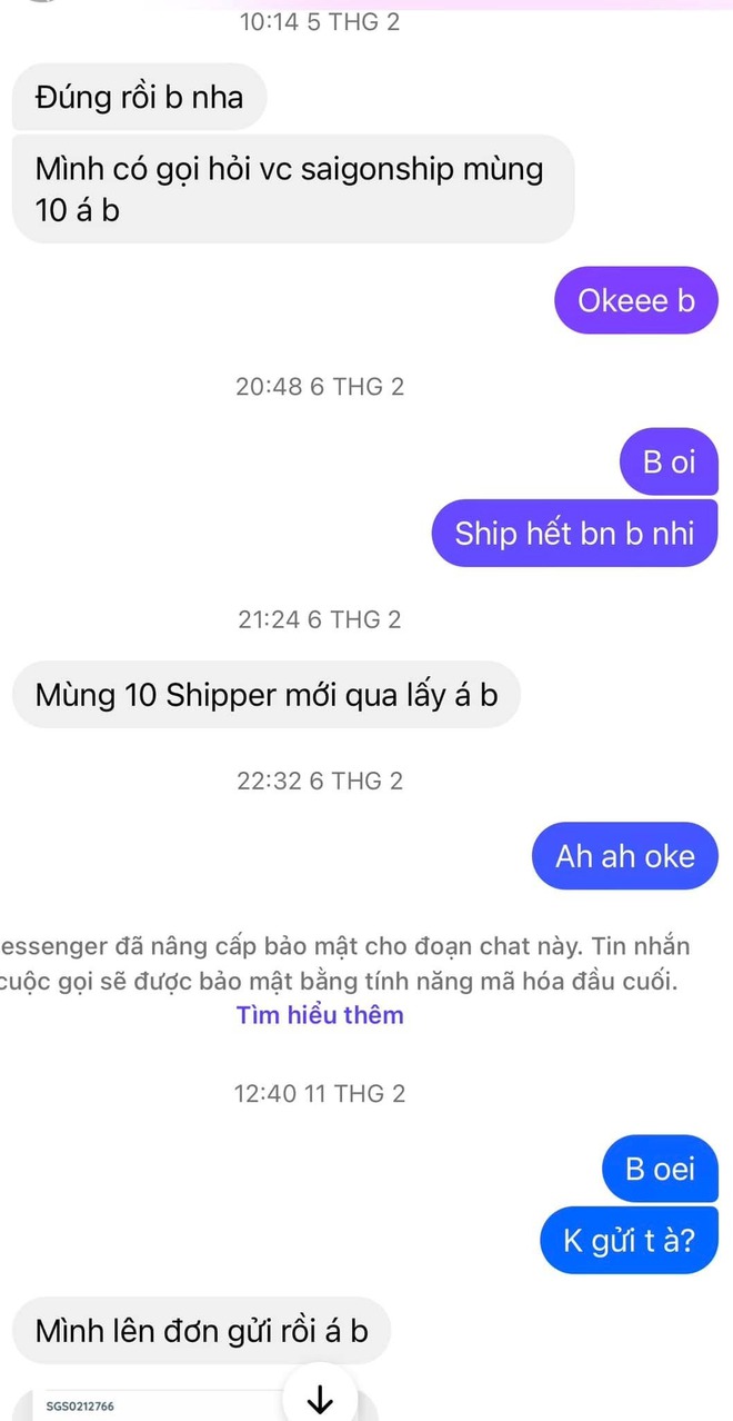 Mua Baby Three trên mạng, "phú bà" Vbiz ăn trọn một cú lừa- Ảnh 3.