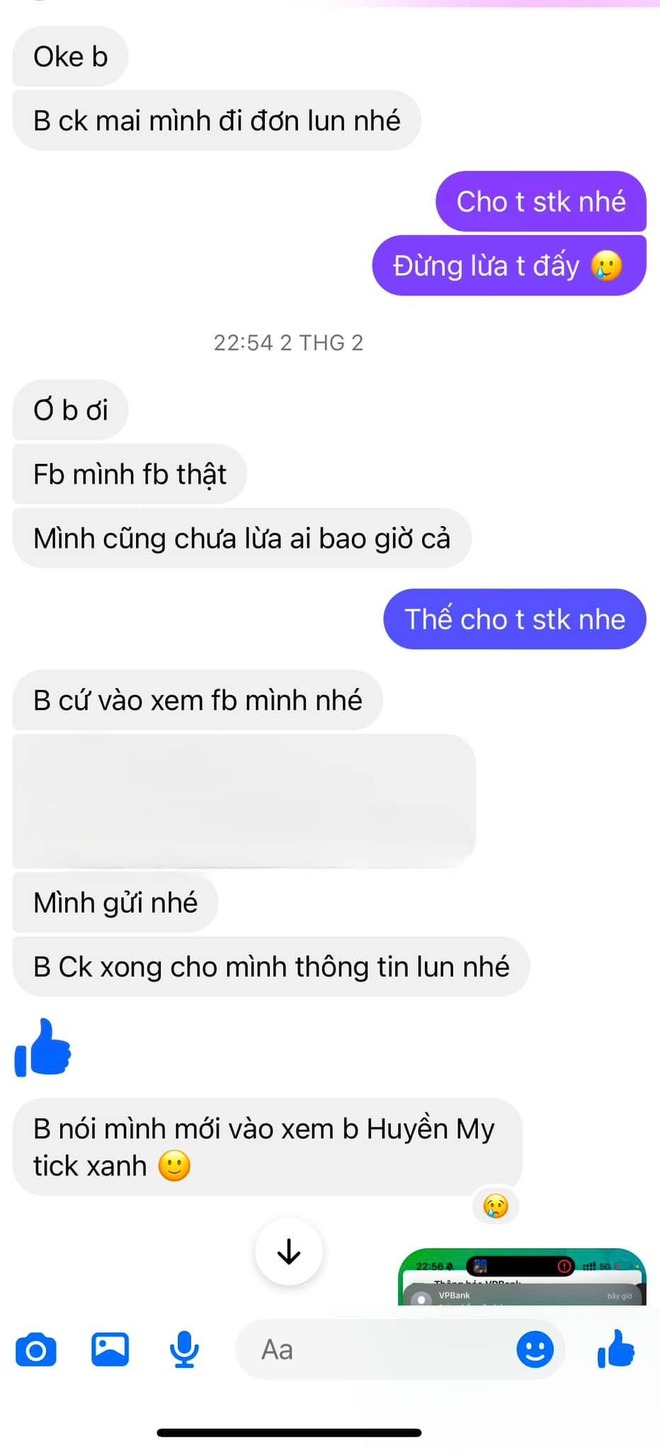 Mua Baby Three trên mạng, "phú bà" Vbiz ăn trọn một cú lừa- Ảnh 2.