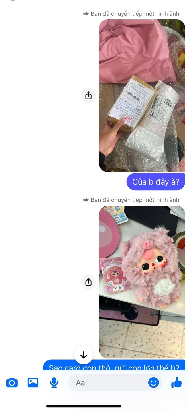 Mua Baby Three trên mạng, "phú bà" Vbiz ăn trọn một cú lừa- Ảnh 18.