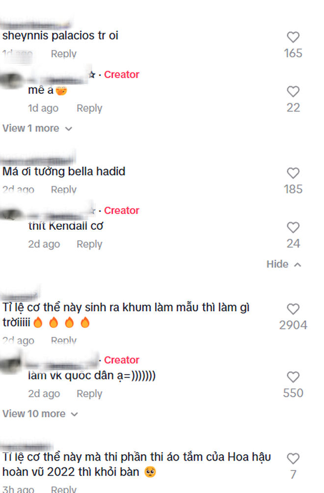 Hơn 1 triệu người không rời mắt khỏi cô gái Việt đi casting, Bella Hadid bất ngờ được réo gọi- Ảnh 3.