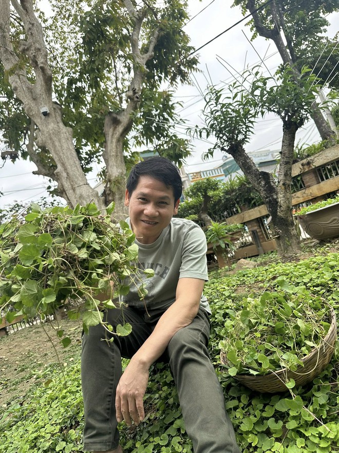 Cuộc sống tuổi 49 cực chill của Trọng Tấn trong biệt thự sân vườn tại Thanh Hóa: Nuôi gà, trồng rau má, hái nhót chín- Ảnh 2.