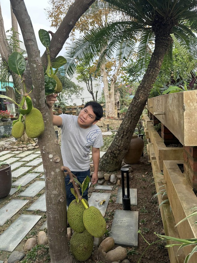 Cuộc sống tuổi 49 cực chill của Trọng Tấn trong biệt thự sân vườn tại Thanh Hóa: Nuôi gà, trồng rau má, hái nhót chín- Ảnh 13.