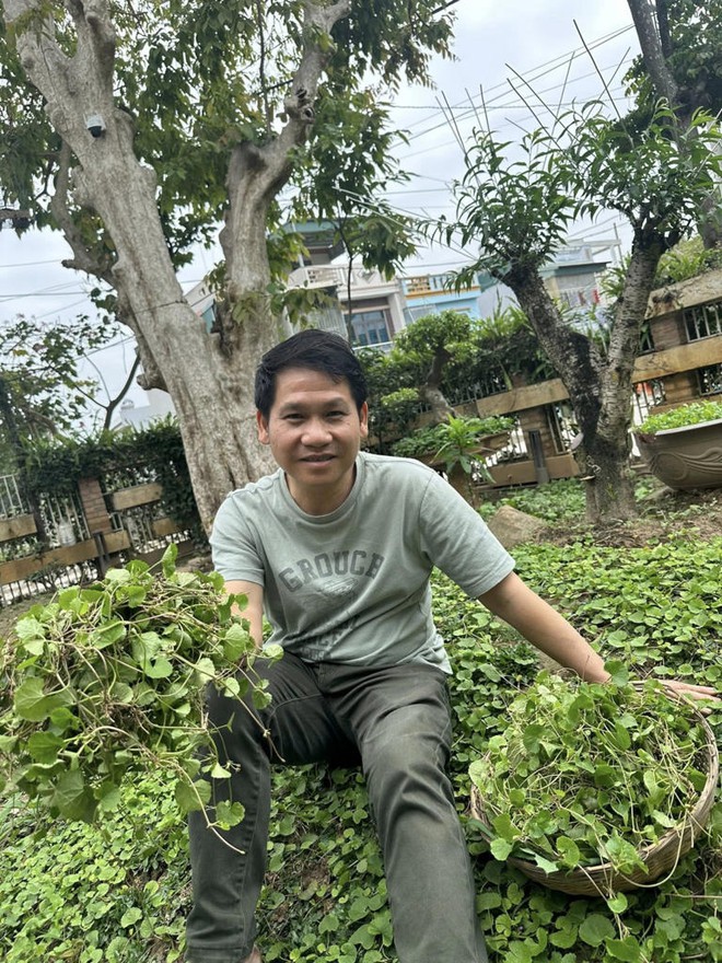 Cuộc sống tuổi 49 cực chill của Trọng Tấn trong biệt thự sân vườn tại Thanh Hóa: Nuôi gà, trồng rau má, hái nhót chín- Ảnh 5.