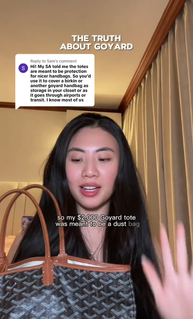 Drama túi Goyard 50 triệu bị chảy màu có cái kết "quay xe": Sự thật về chiếc túi xa xỉ nghe rất ngậm ngùi- Ảnh 1. Drama túi Goyard 50 triệu bị chảy màu có cái kết "quay xe": Sự thật về chiếc túi xa xỉ nghe rất ngậm ngùi- Ảnh 1.