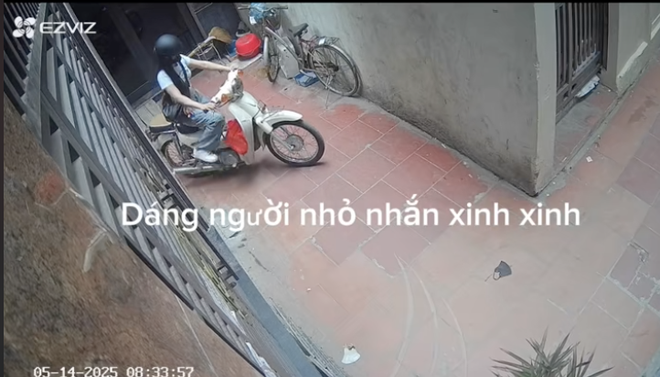 Series “cô hàng xóm” đáng yêu được cả TikTok theo dõi: Không thành đôi là chúng tôi hủy follow- Ảnh 3.
