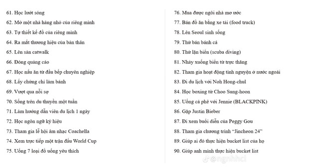 Người Việt bình luận về 100 mục tiêu của nữ YouTuber du lịch 
