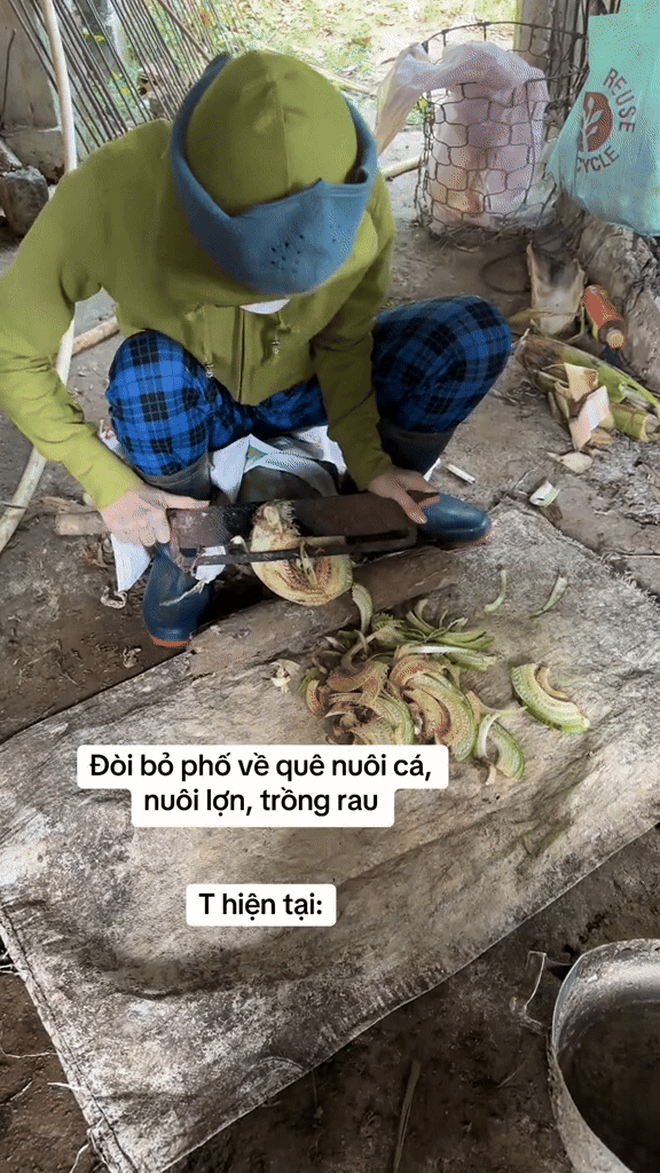"Cuốc đất 5 phút thở không ra hơi, cày ruộng nửa ngày phải đi truyền nước": Ở phố mất job - ở quê mất sức- Ảnh 1. "Cuốc đất 5 phút thở không ra hơi, cày ruộng nửa ngày phải đi truyền nước": Ở phố mất job - ở quê mất sức- Ảnh 1.
