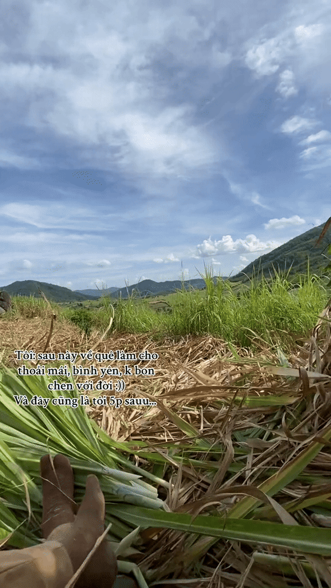 "Cuốc đất 5 phút thở không ra hơi, cày ruộng nửa ngày phải đi truyền nước": Ở phố mất job - ở quê mất sức- Ảnh 2. "Cuốc đất 5 phút thở không ra hơi, cày ruộng nửa ngày phải đi truyền nước": Ở phố mất job - ở quê mất sức- Ảnh 2.