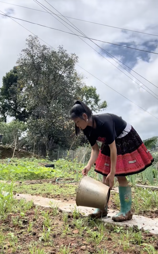 Sùng Bầu gặp vấn đề tâm lý, dừng kinh doanh- Ảnh 2.