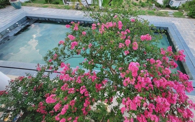Biệt thự nghỉ dưỡng của nam diễn viên "giờ vàng VTV": Hoa giăng lối, view núi thơ mộng như resort 5 sao- Ảnh 11. Biệt thự nghỉ dưỡng của nam diễn viên "giờ vàng VTV": Hoa giăng lối, view núi thơ mộng như resort 5 sao- Ảnh 11.