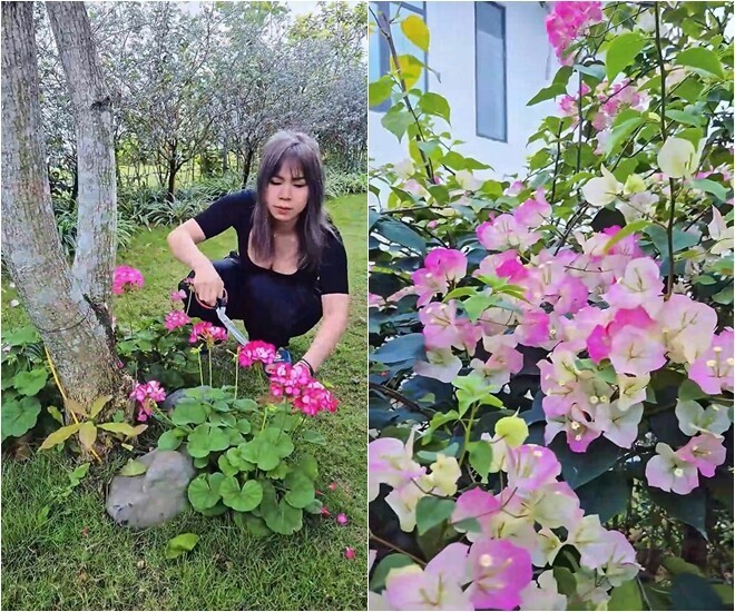 Biệt thự nghỉ dưỡng của nam diễn viên "giờ vàng VTV": Hoa giăng lối, view núi thơ mộng như resort 5 sao- Ảnh 9. Biệt thự nghỉ dưỡng của nam diễn viên "giờ vàng VTV": Hoa giăng lối, view núi thơ mộng như resort 5 sao- Ảnh 9.